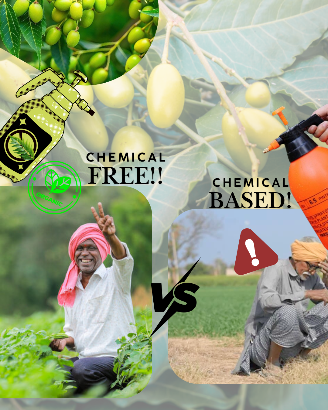 Organic farming in Nepal